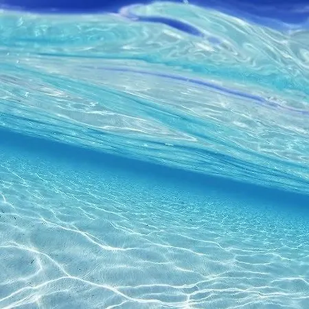 Willa Pursue Your Day Dreams