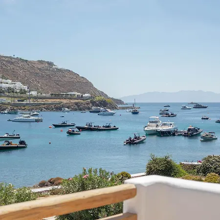 Pursue Your Day Dreams Willa