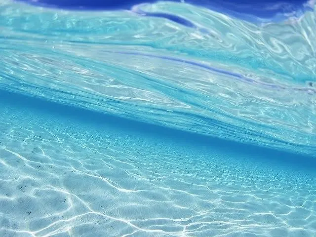 Willa Pursue Your Day Dreams