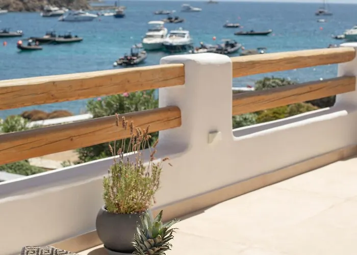 Willa Pursue Your Day Dreams *